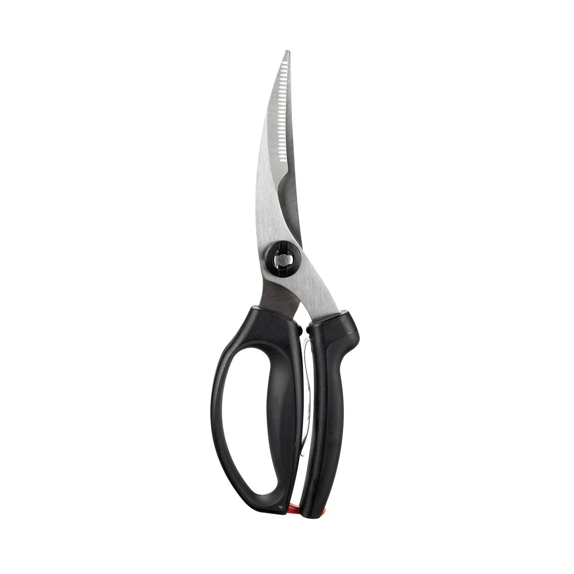 poultry-shears-p2 1072292V3.jpg