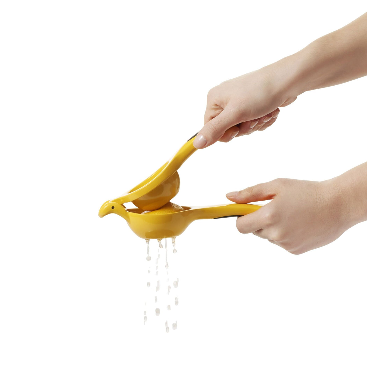 citrus-squeezer-h3 gg_1057962_4b.jpg