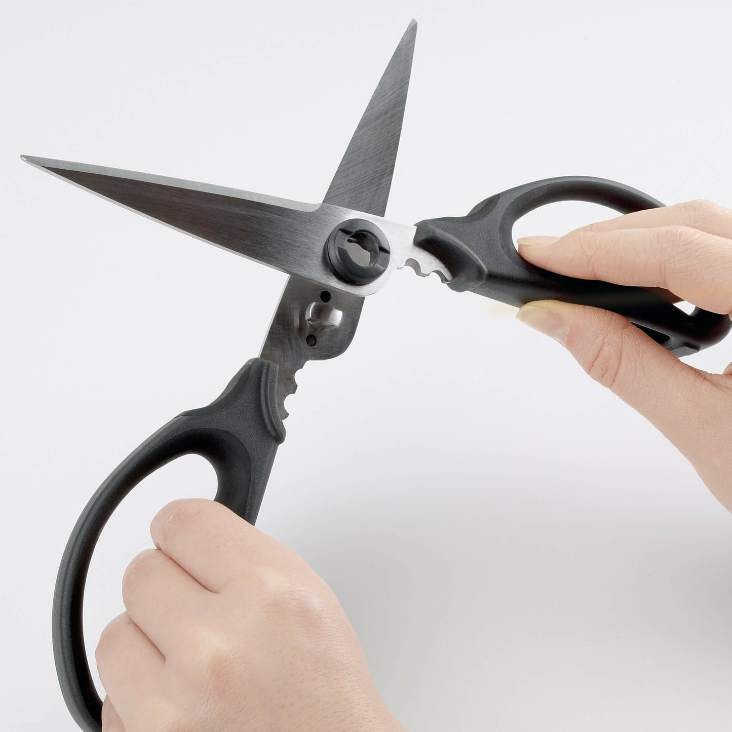 kitchen-and-herb-scissors-e2 gg_1072121_4_1_.jpg