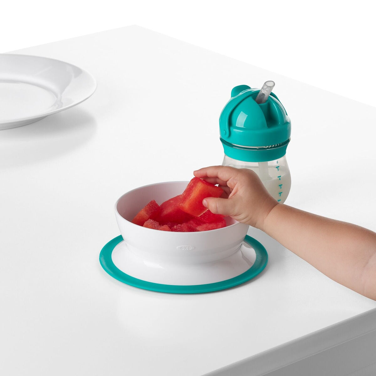 stick-and-stay-suction-bowl-f0 tot_61120600_4i.jpg