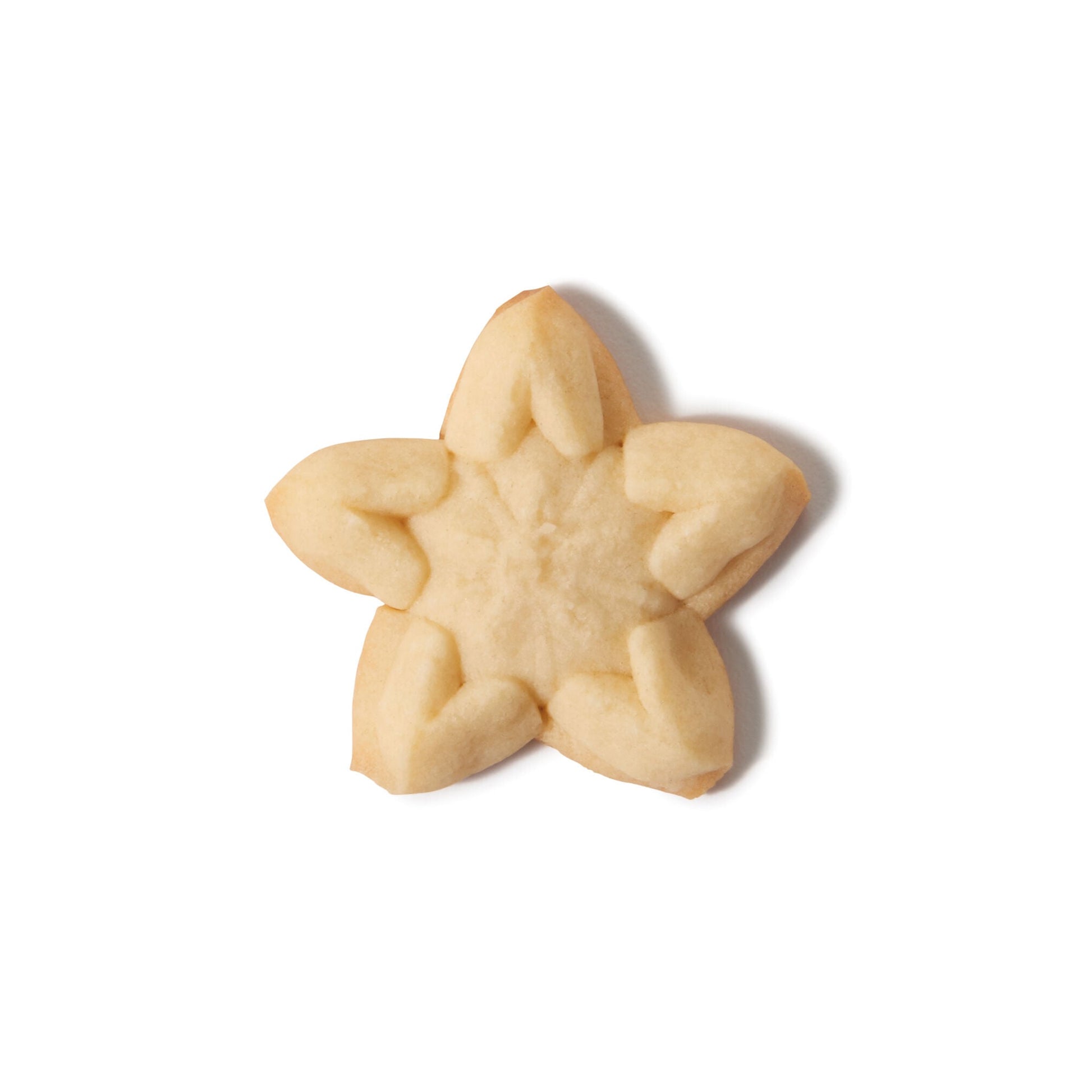 christmas-cookie-press-disk-set-r1 11177800_6_-star.jpg
