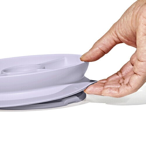 stick-and-stay-suction-divided-plate-e0 1134515a-7af7-4d77-8ad1-4534fbb13d49.jpg