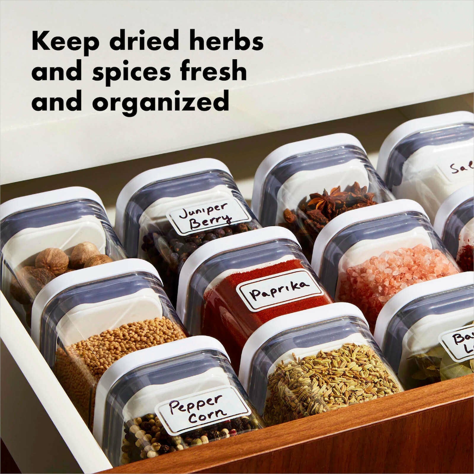 pop-4-piece-mini-container-set-x5 4_pieceaplusartboard_1-100_1_1_.jpg