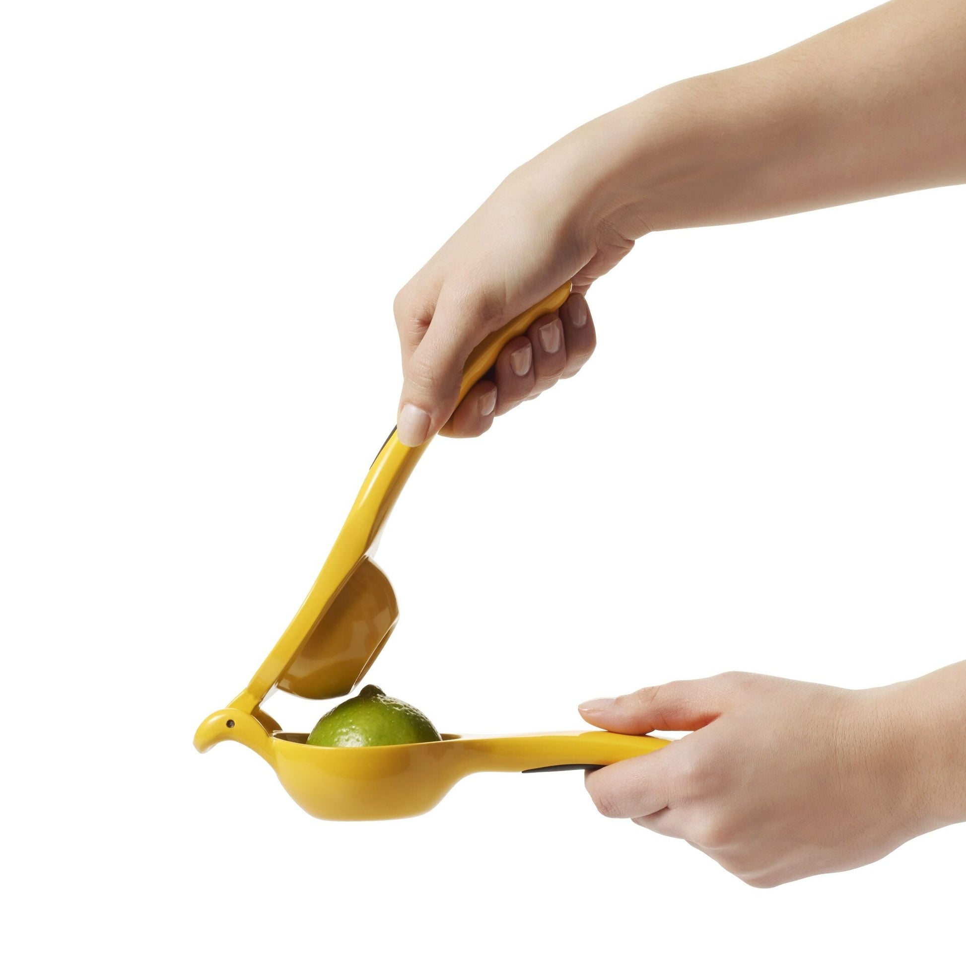 citrus-squeezer-h3 gg_1057962_4a.jpg