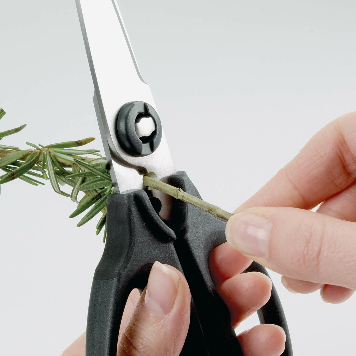 kitchen-and-herb-scissors-e2 gg_1072121_3_1_.jpg