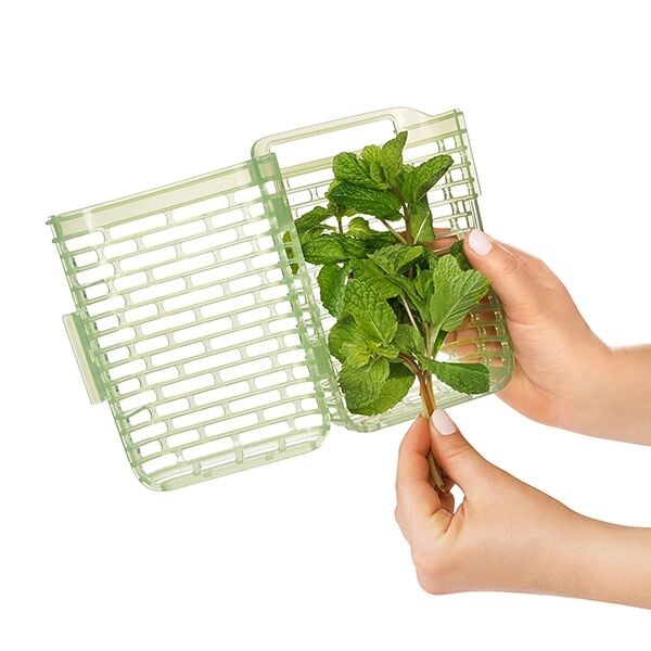 greensaver-herb-keeper-small-l7 gg_11212200_4.jpg