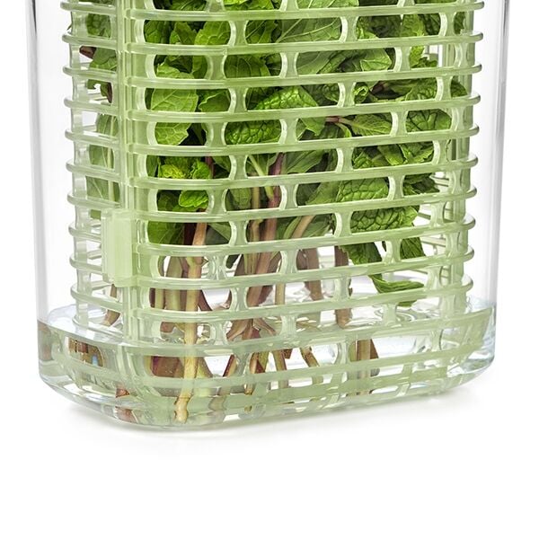 greensaver-herb-keeper-small-l7 gg_11212200_7.jpg
