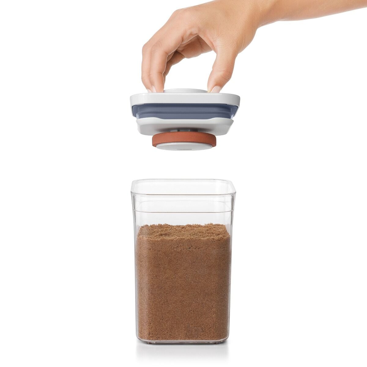 pop-brown-sugar-keeper-x9 gg_11235700_4_-v2.jpg