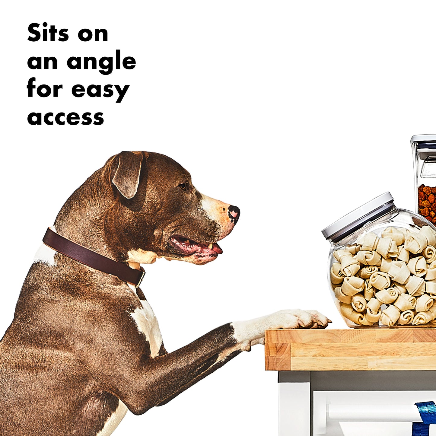 oxo-good-grips-pet-pop-container-3-0-qt-2-8-l-r3 gg_11332400_8b.jpg