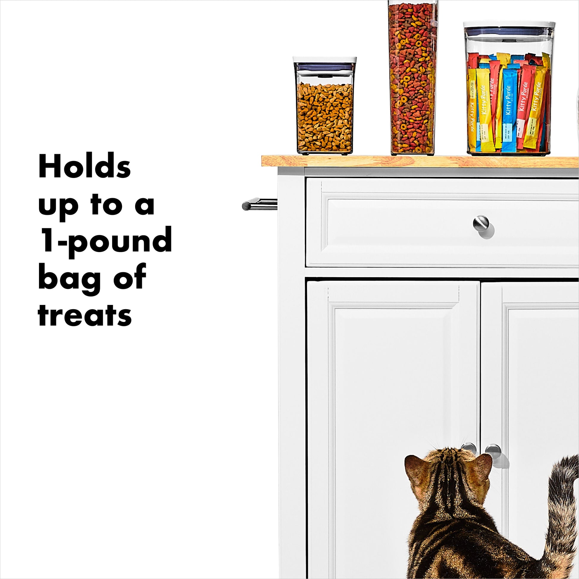 oxo-good-grips-pet-pop-container-1-1-qt-1-l-w2 gg_11332600_8.jpg