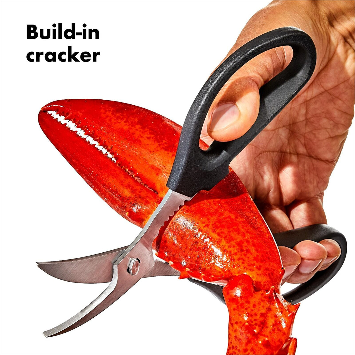 seafood-scissors-k9 gg_11350600_seafoodscissors_apdp_02.jpg