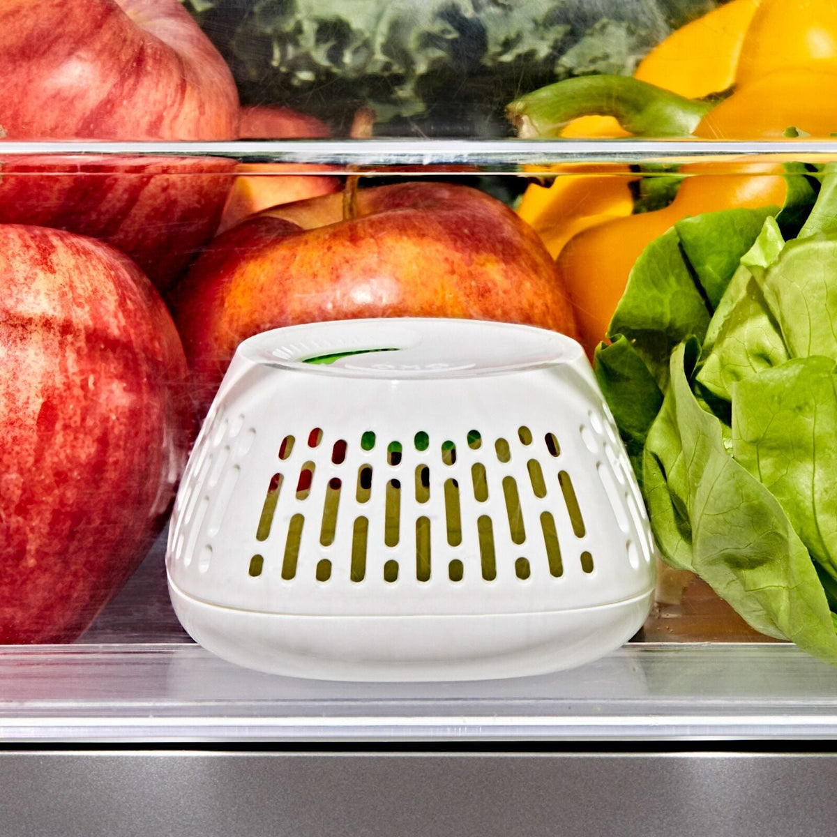 produce-saver-crisper-drawer-insert-2-pack-x6 gg_11427700_greensaver-crisper-drawer-insert_pdp_02.jpeg