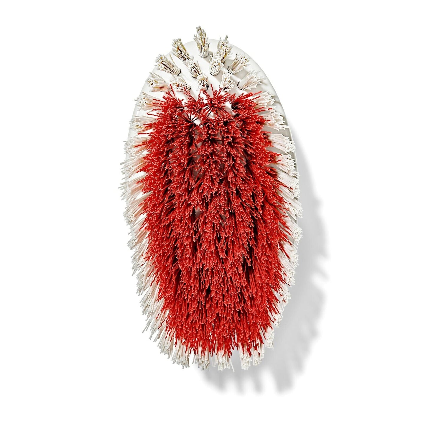 all-purpose-scrub-brush-2-pack-g6 gg_12426000_scrub-brush-2-pack_pdp_07.jpeg