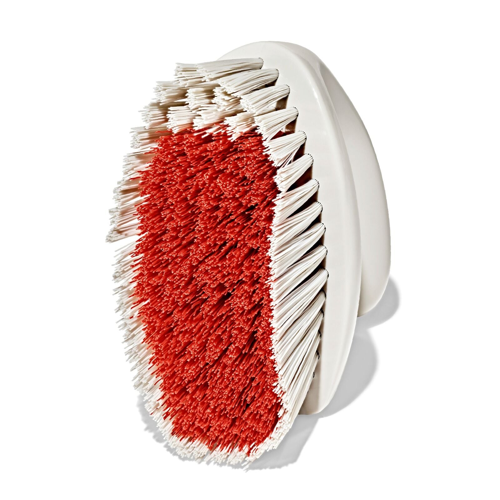 all-purpose-scrub-brush-2-pack-g6 gg_12426000_scrub-brush-2-pack_pdp_09.jpeg