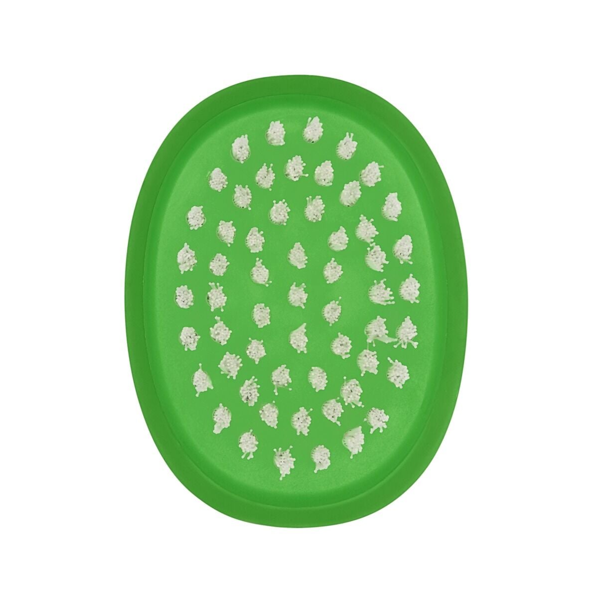 vegetable-brush-n4 gg_33781_2a.jpg