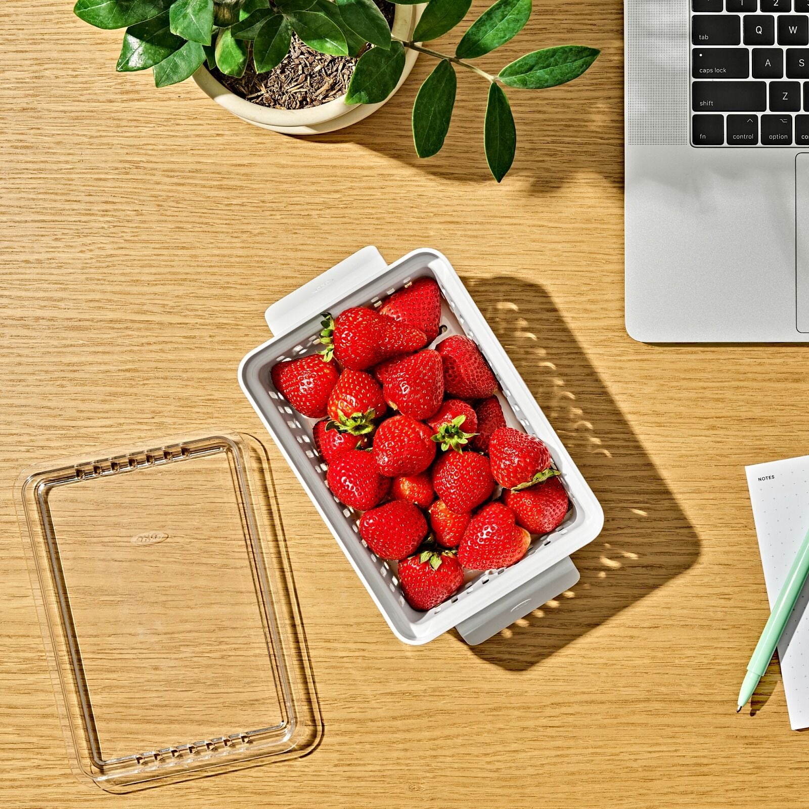 produce-saver-berry-keeper-2-piece-set-x0 gg_berry-keeper-produce-saver_pdp_01_1_.jpg