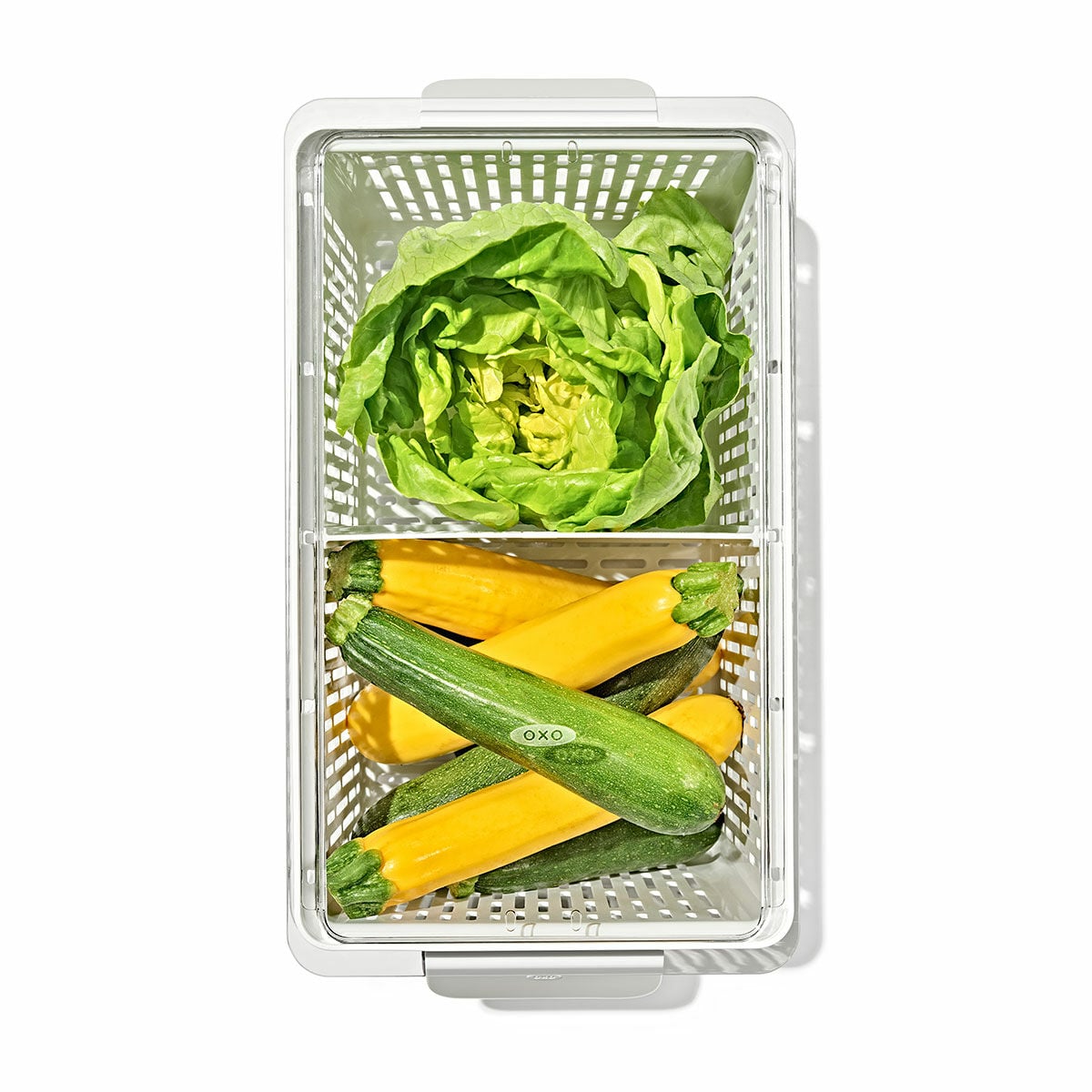 produce-saver-large-bin-z5 gg_sw_produce-saver-large_02.jpg