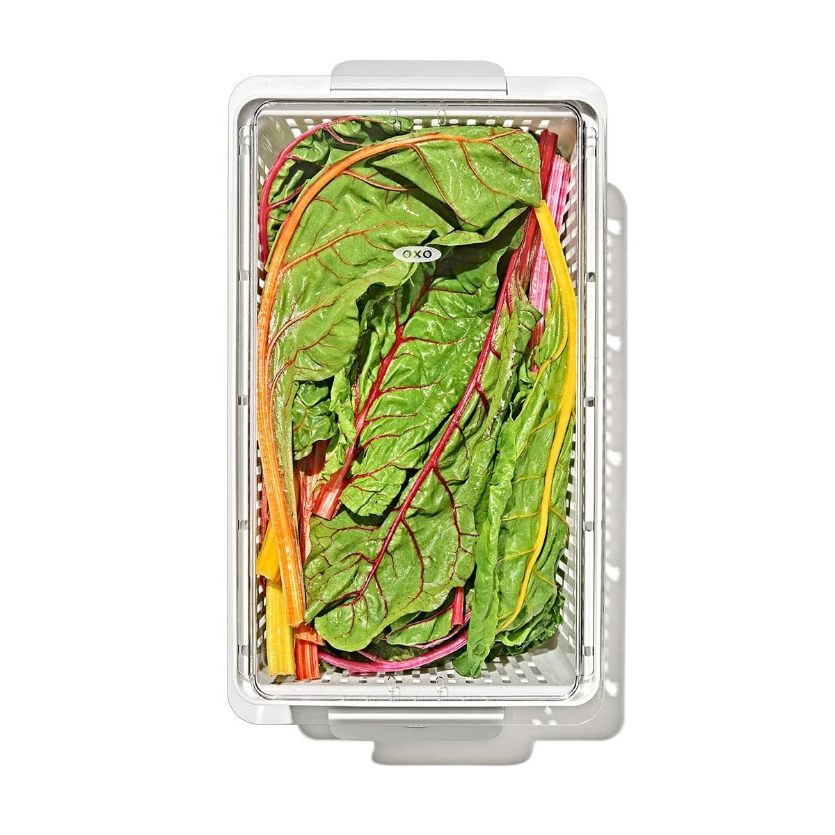 produce-saver-large-bin-z5 gg_sw_produce-saver-large_10.jpg