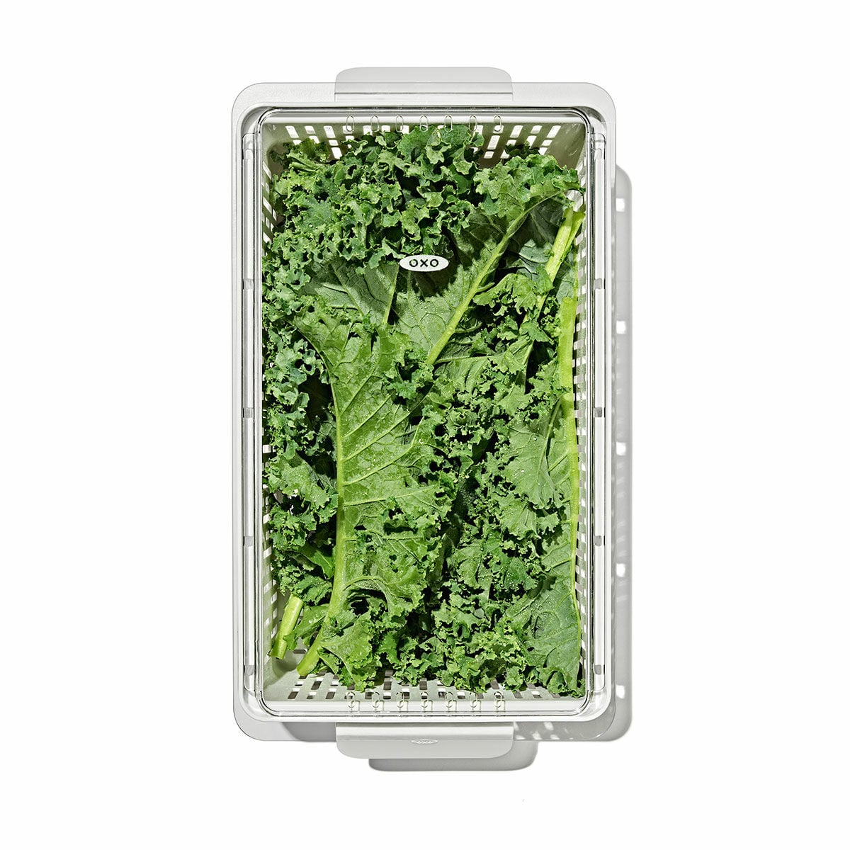 produce-saver-medium-bin-j5 gg_sw_produce-saver-medium_05.jpg