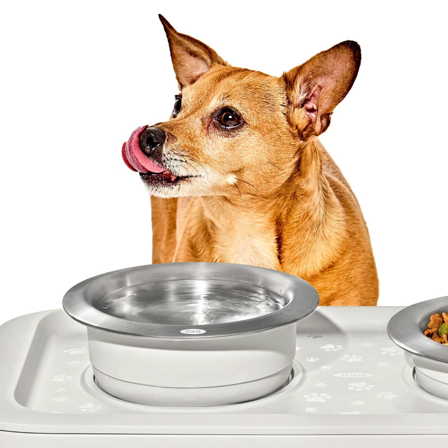 oxo-pet-nonslip-bowl-medium-2-cups-480-ml-y0 pet_7101900_nonslip-medium-bowl_pdp_02.jpeg