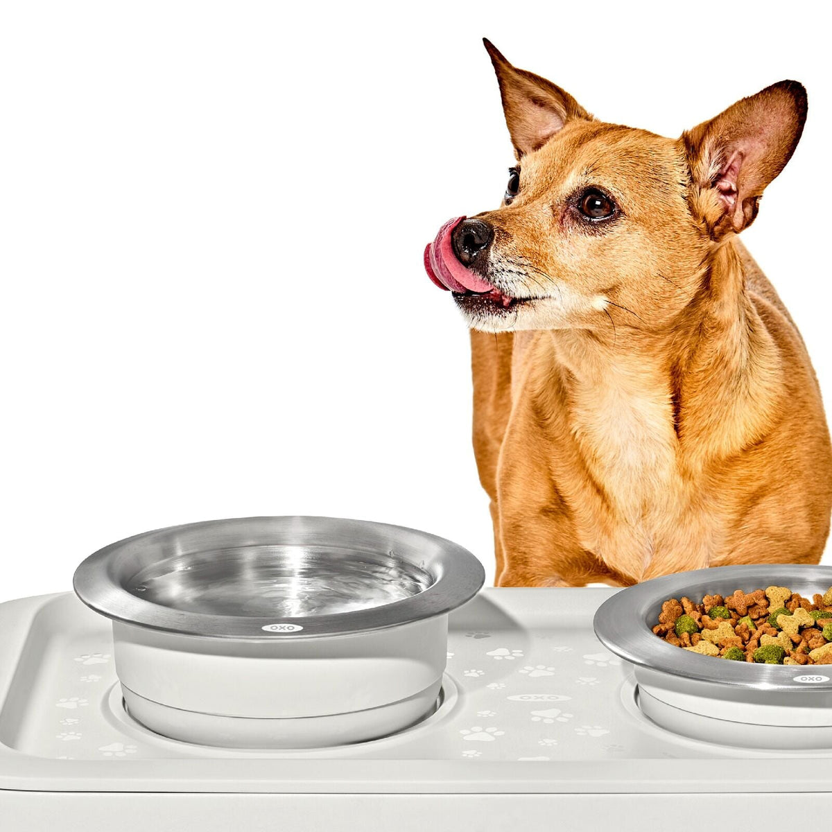 oxo-pet-nonslip-bowl-large-4-cups-950-ml-s3 pet_7102000_nonslip-large-bowl_pdp_02.jpeg