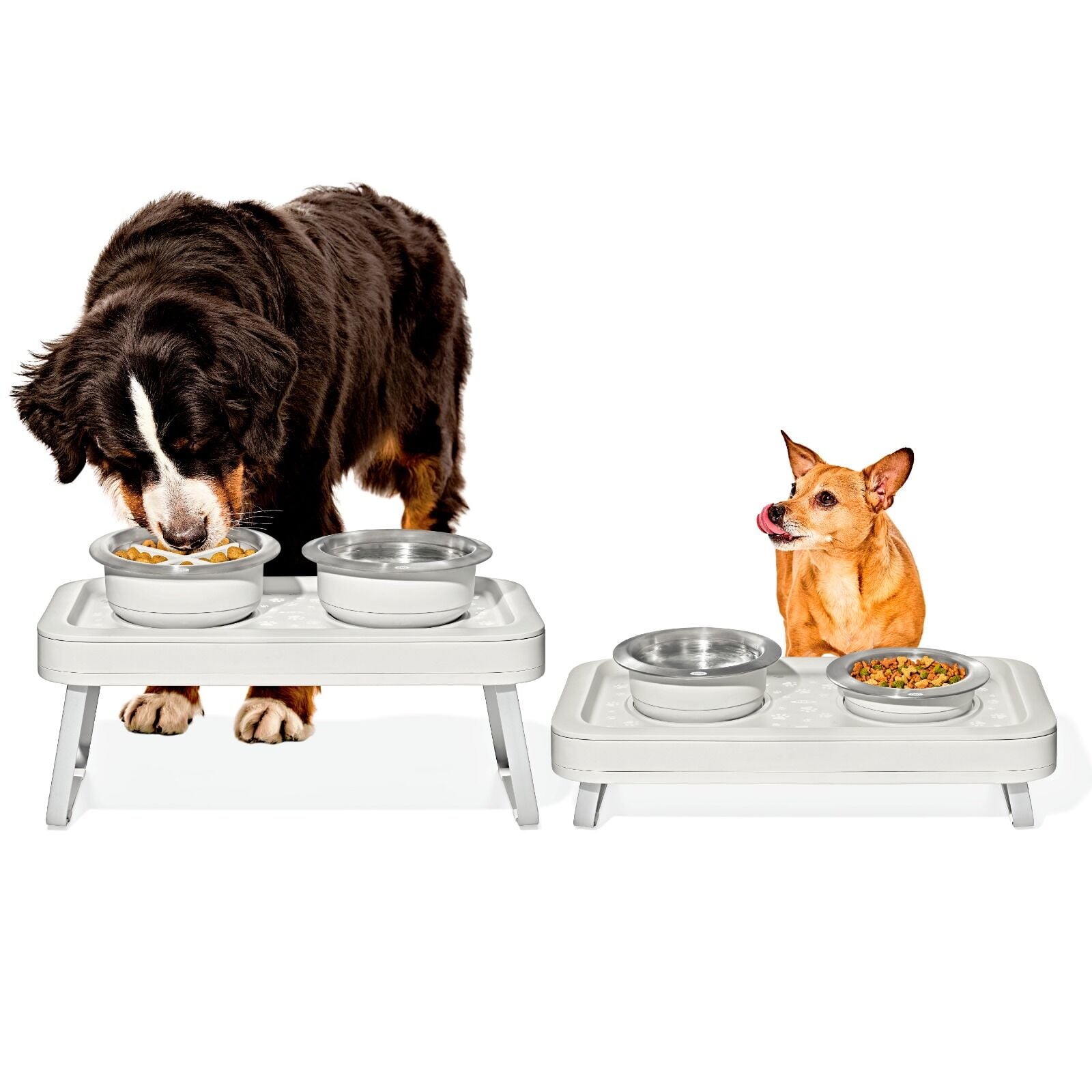 oxo-pet-adjustable-elevated-feeder-e6 pet_7102300_elevated-feeder_pdp_01.jpeg