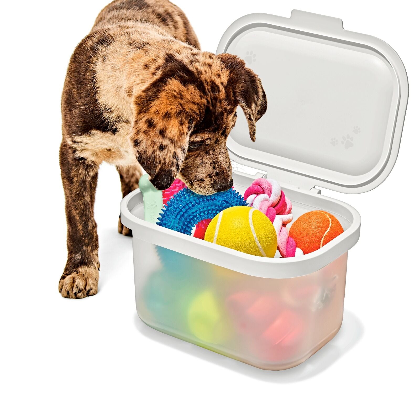 oxo-pet-multi-purpose-container-a8 pet_7301300_multi-purpose-container_pdp_06.jpeg