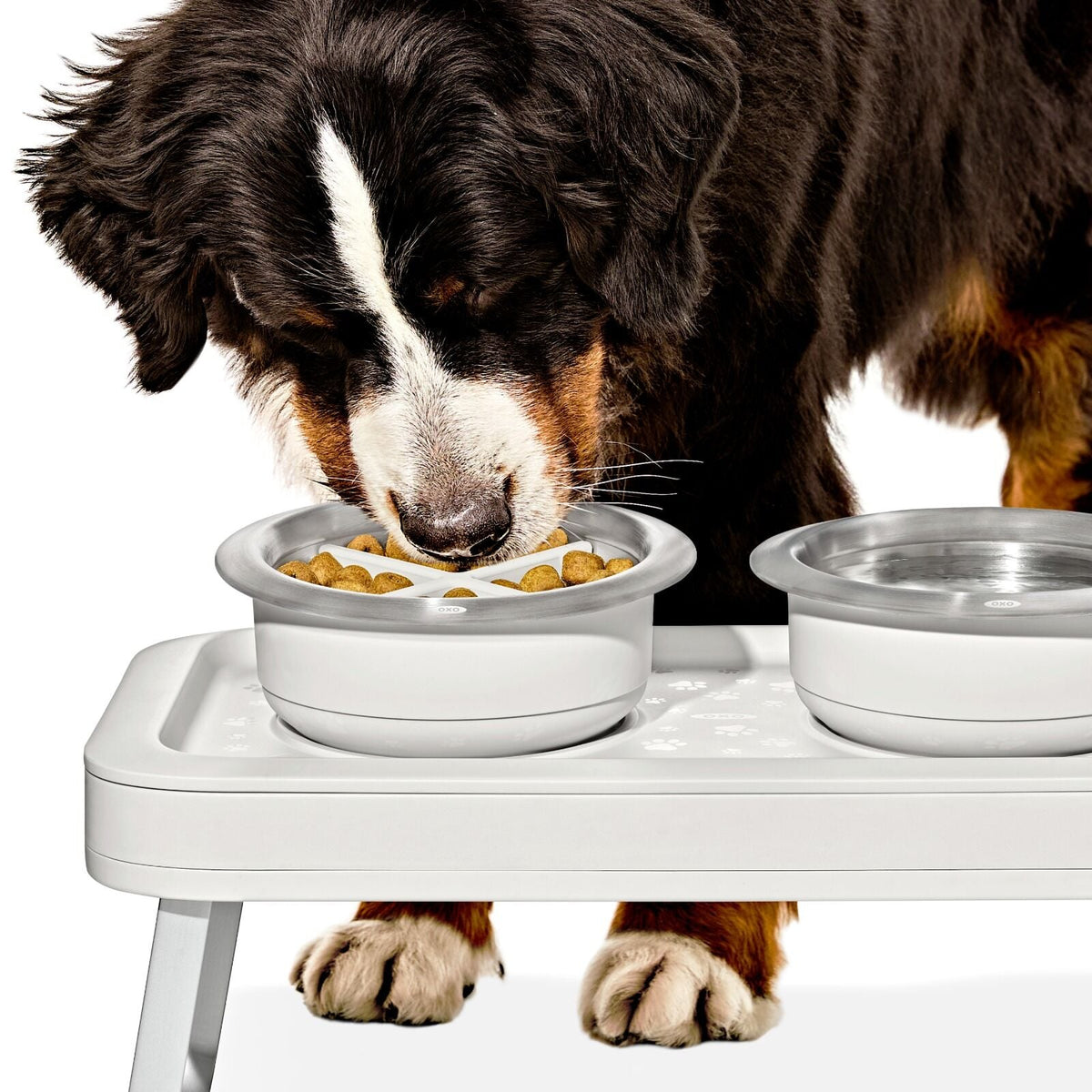 oxo-pet-easy-clean-slow-feeder-medium-2-cups-489-ml-m0 pet_slow-feeder-medium-large_pdp_02_1.jpeg