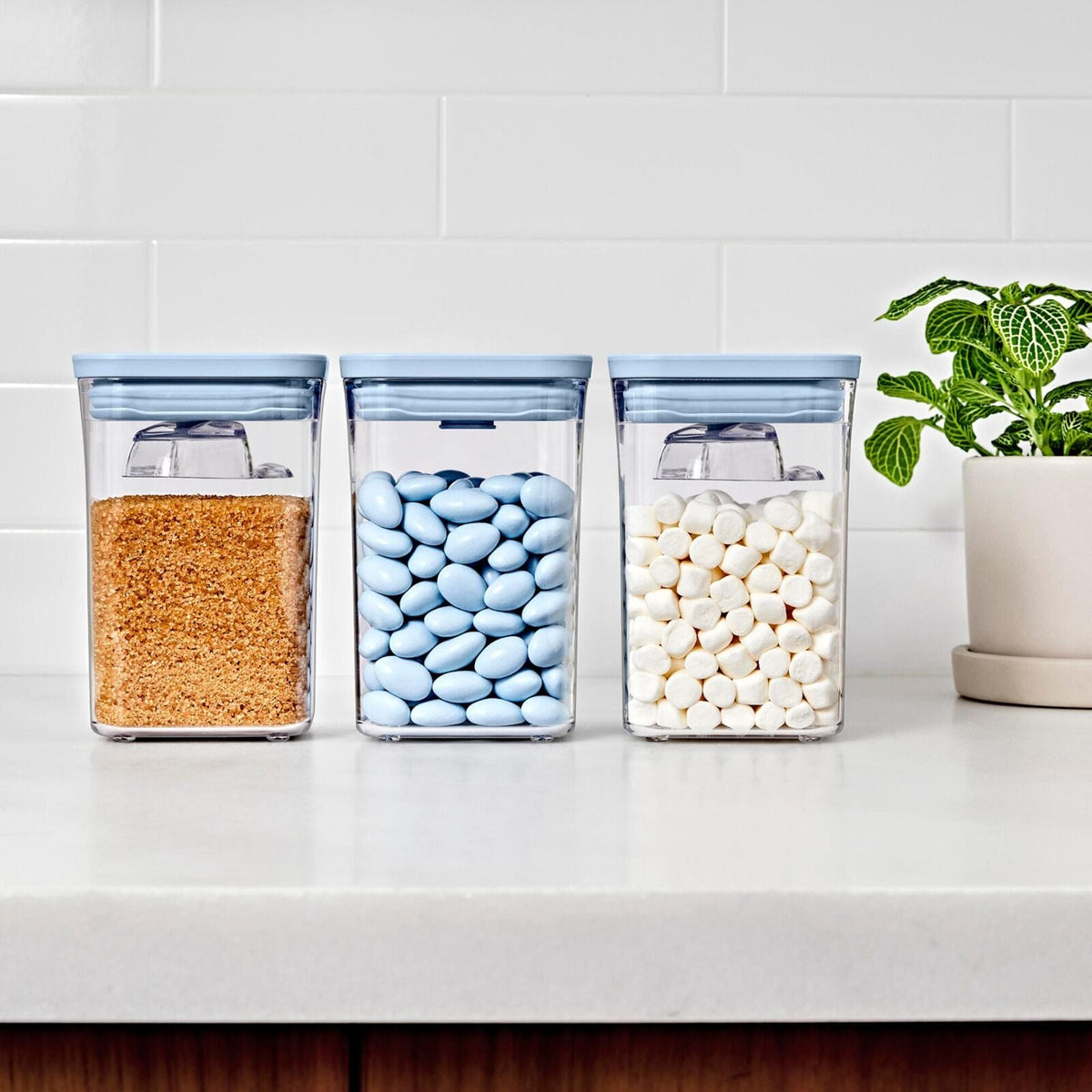3-piece-pop-container-set-with-mini-scoops-w2 pop_3pc-set-sky-blue_pdp_02.jpg