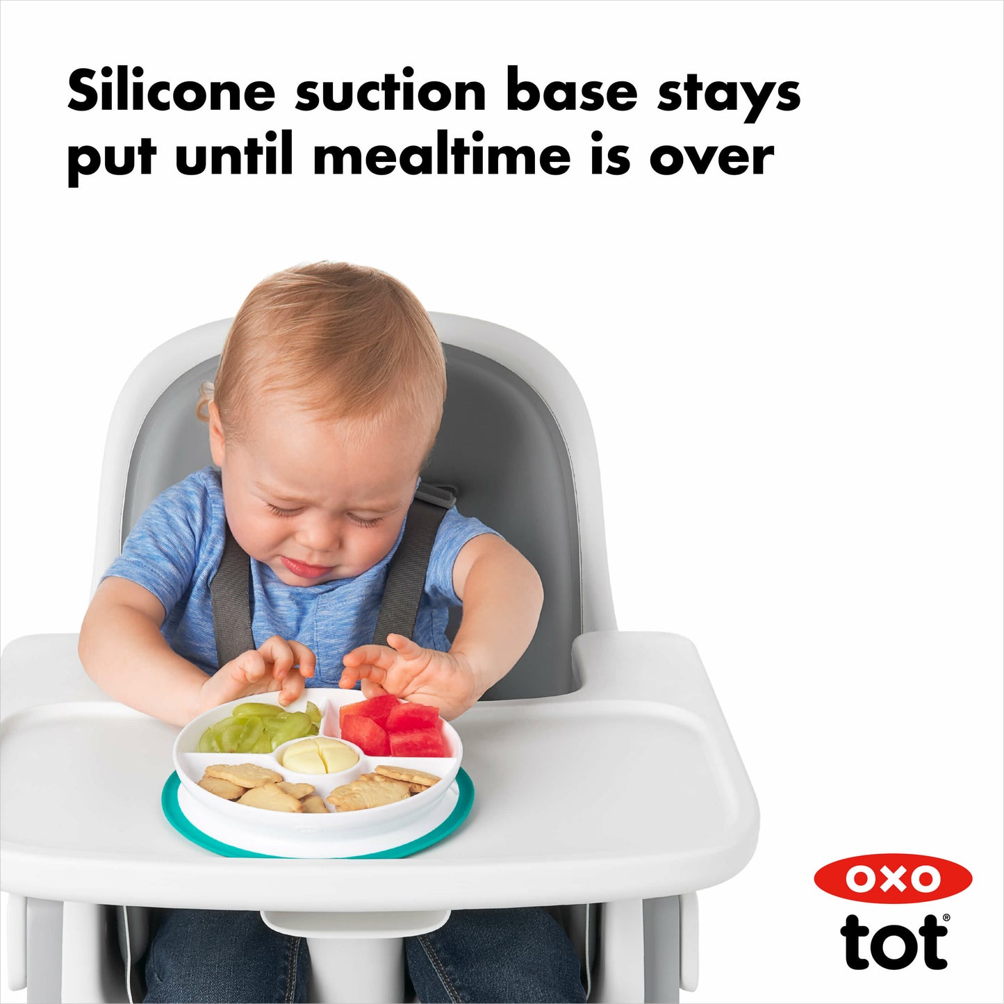 stick-and-stay-suction-divided-plate-l0 tot_61121200_8d_1_.jpg