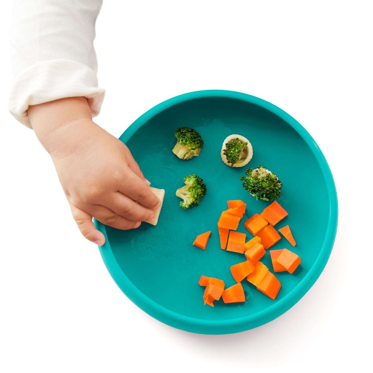 silicone-plate-f6 tot_61149500_17_food_emma_9b_1_.jpg